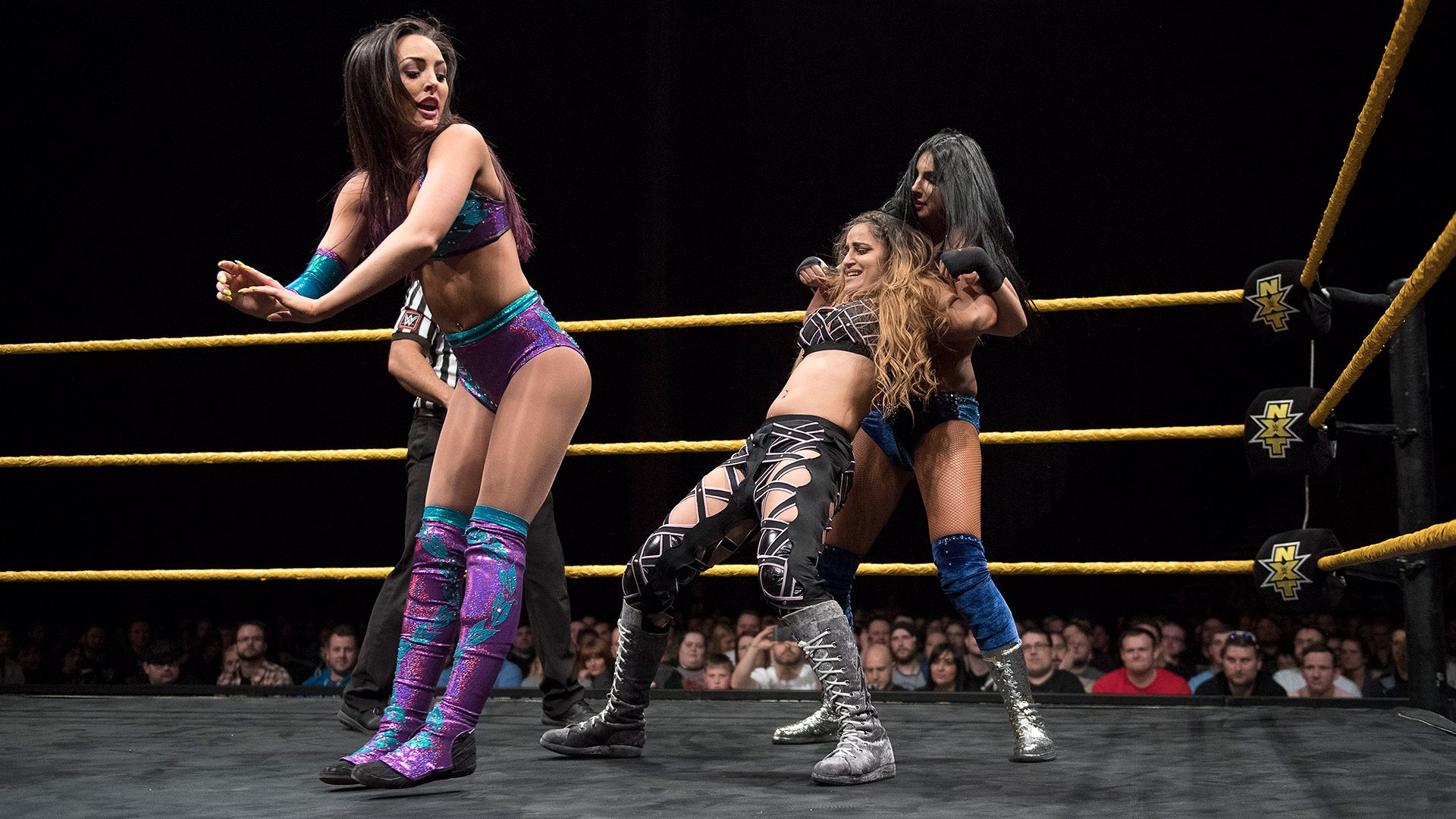 Peyton Royce Kc Cassidy Cassie Megathread The Aussie With A Lotta Assets Page 47 