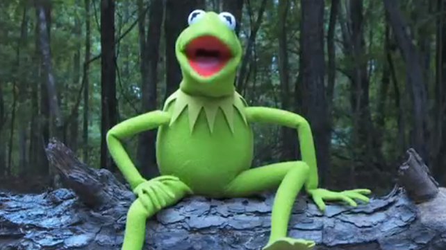 Kermit The Frog Responds To Vince Mcmahon's Als 