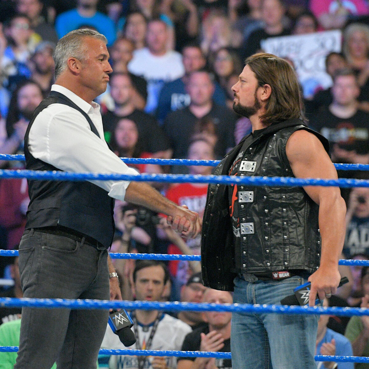 Shane and Styles shake hands two days after their epic clash at The Ultimate Thrill Ride.