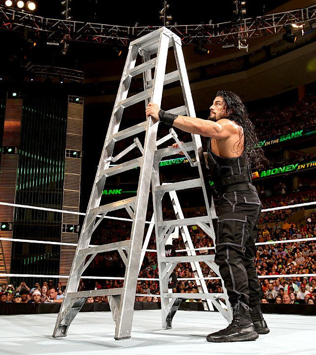 WWE World Heavyweight Championship Ladder Match Photos WWE