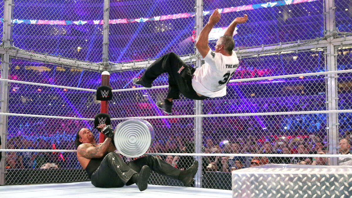 Shane McMahon Vs The Undertaker Hell In A Cell Photos WWE