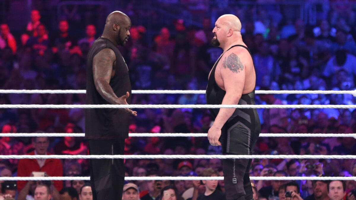 Image result for big show shaquille o'neal