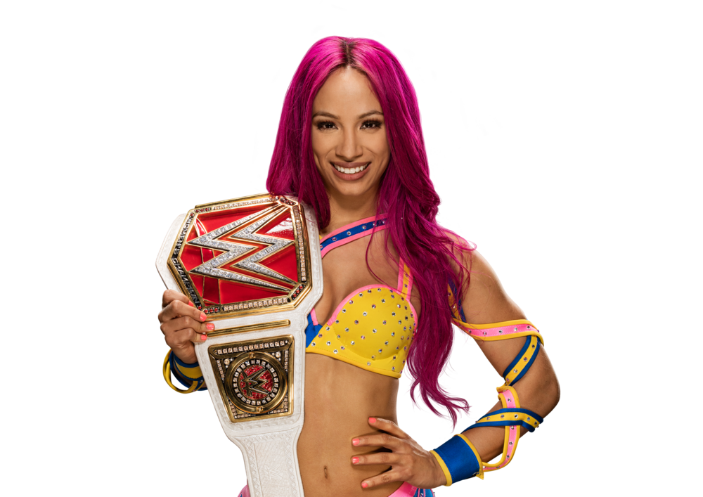 Sasha_Banks_protitle--db6900d4d2491005e7