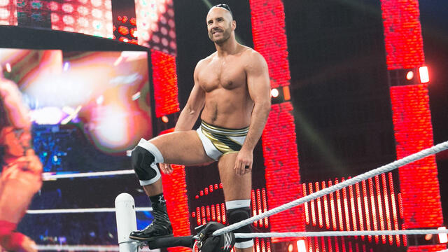 Cesaro_bio--bd4b369d248fe537573758f0c64e7ec3.jpg (640360)