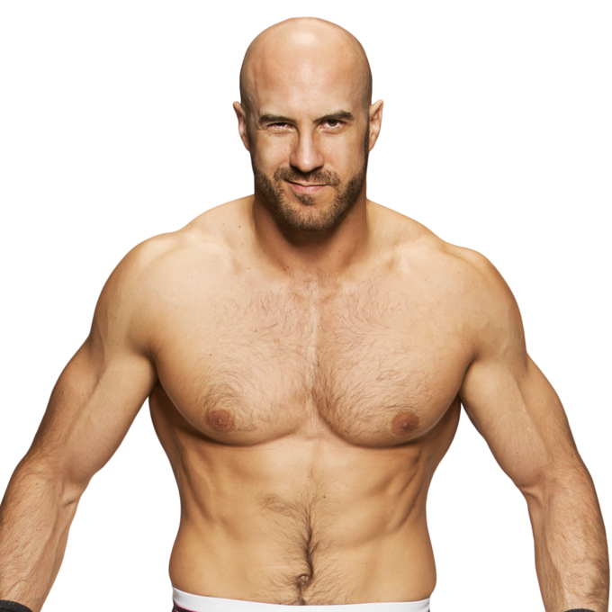 Képtalálat a következőre: „cesaro sheamus wwe png”