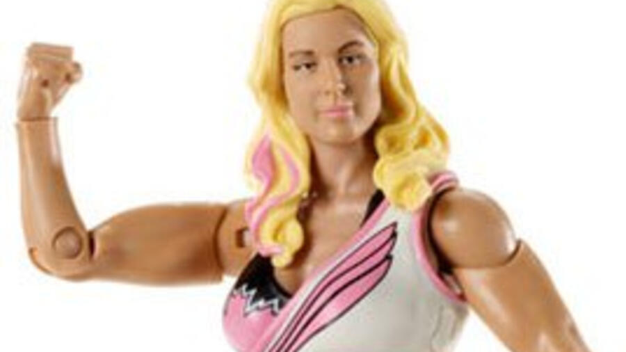 Mattel Basic Series 9 | WWE