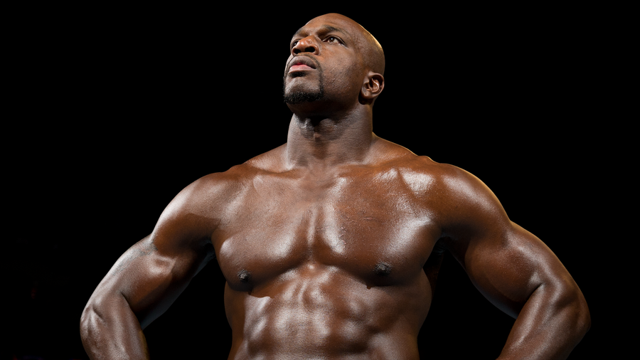 titus o'neil에 대한 이미지 검색결과