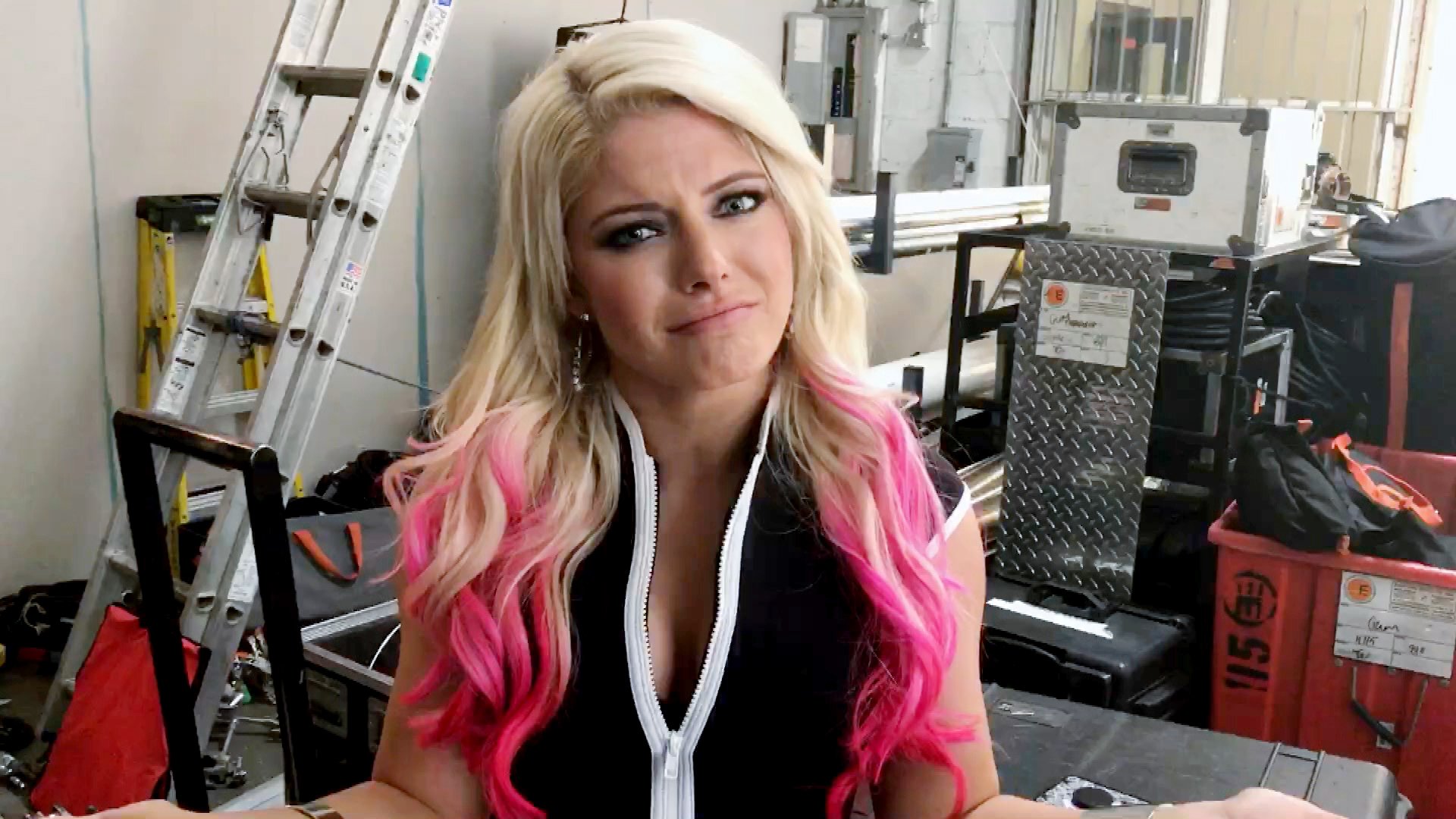 Total Divas Fake