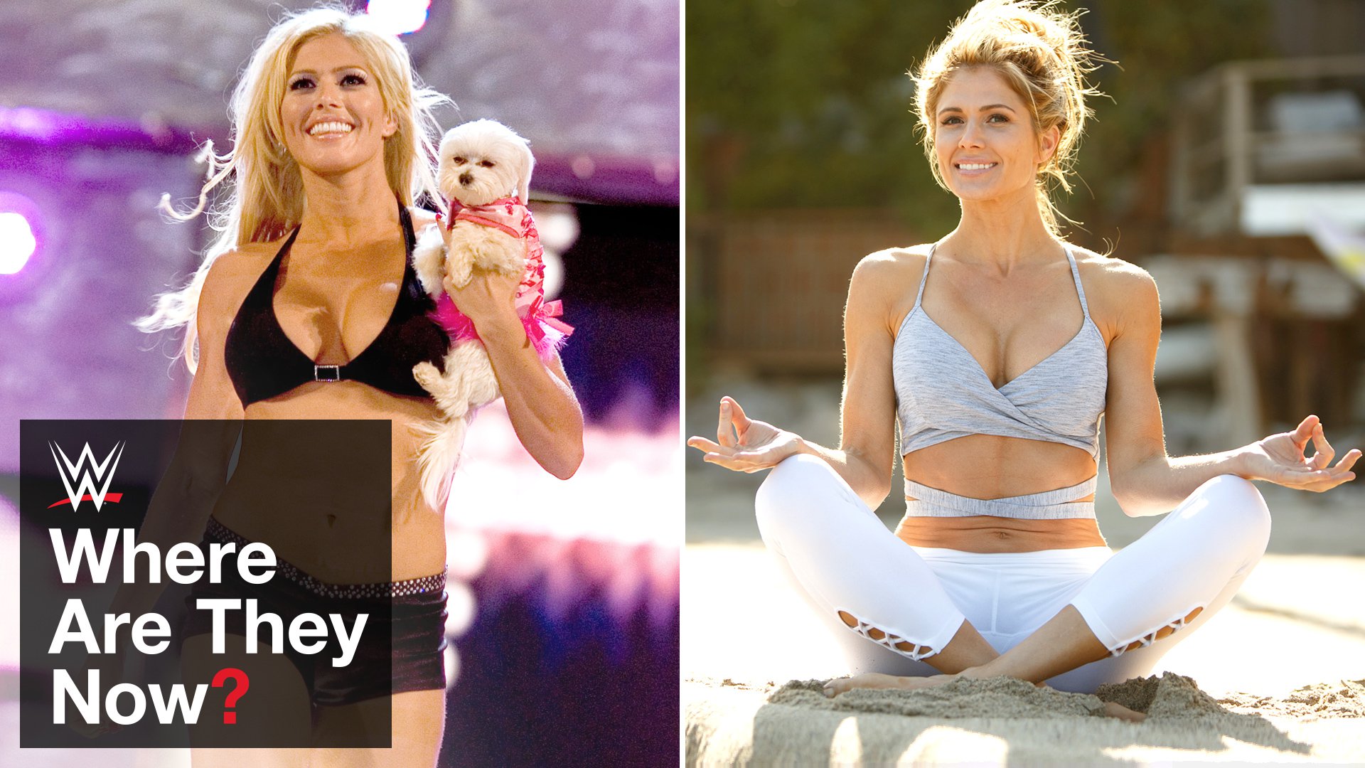 Torrie Wilson: Where Are They Now?