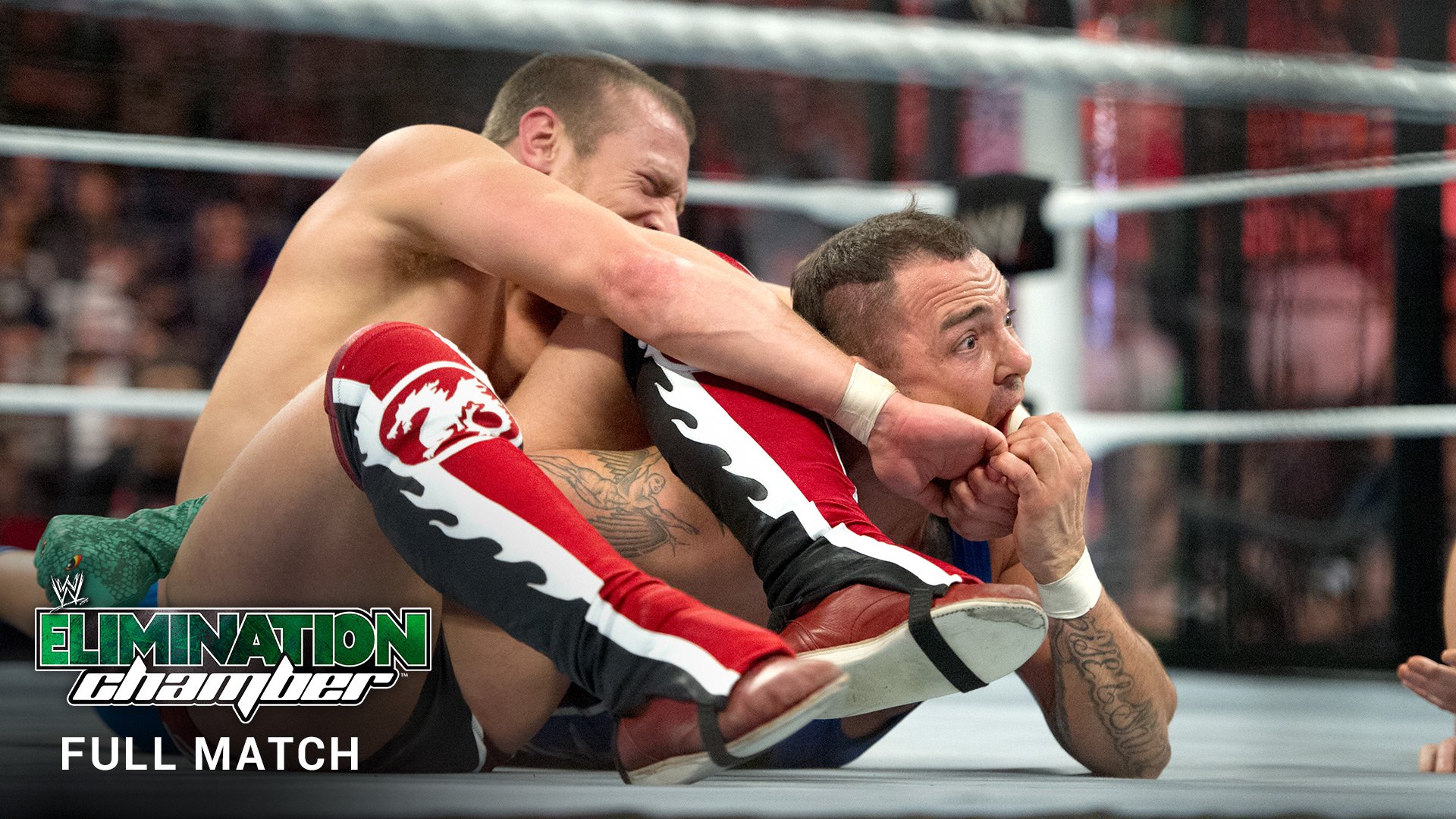 WWE Champion CM Punk won the Raw Elimination Chamber Match