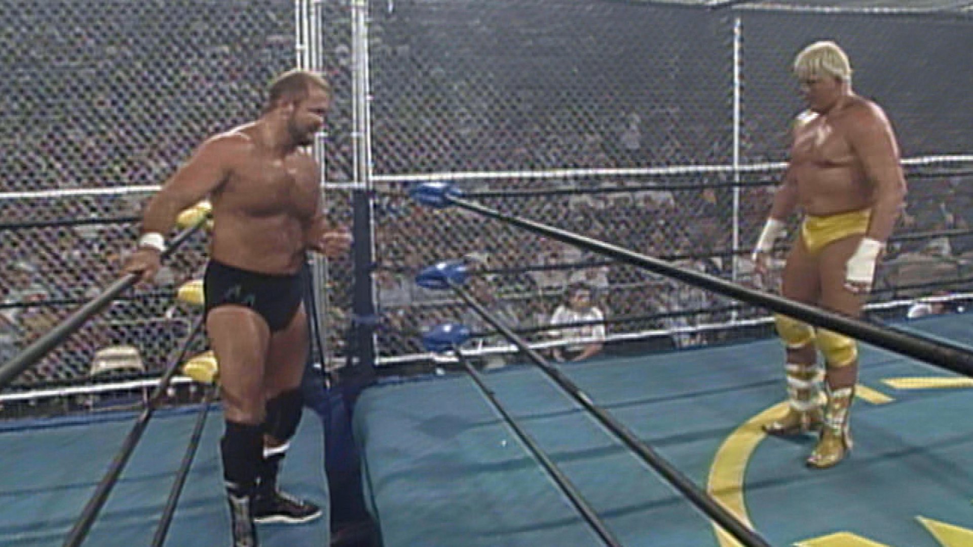 Arvio: WCW Fall Brawl 1994 | Smarkside