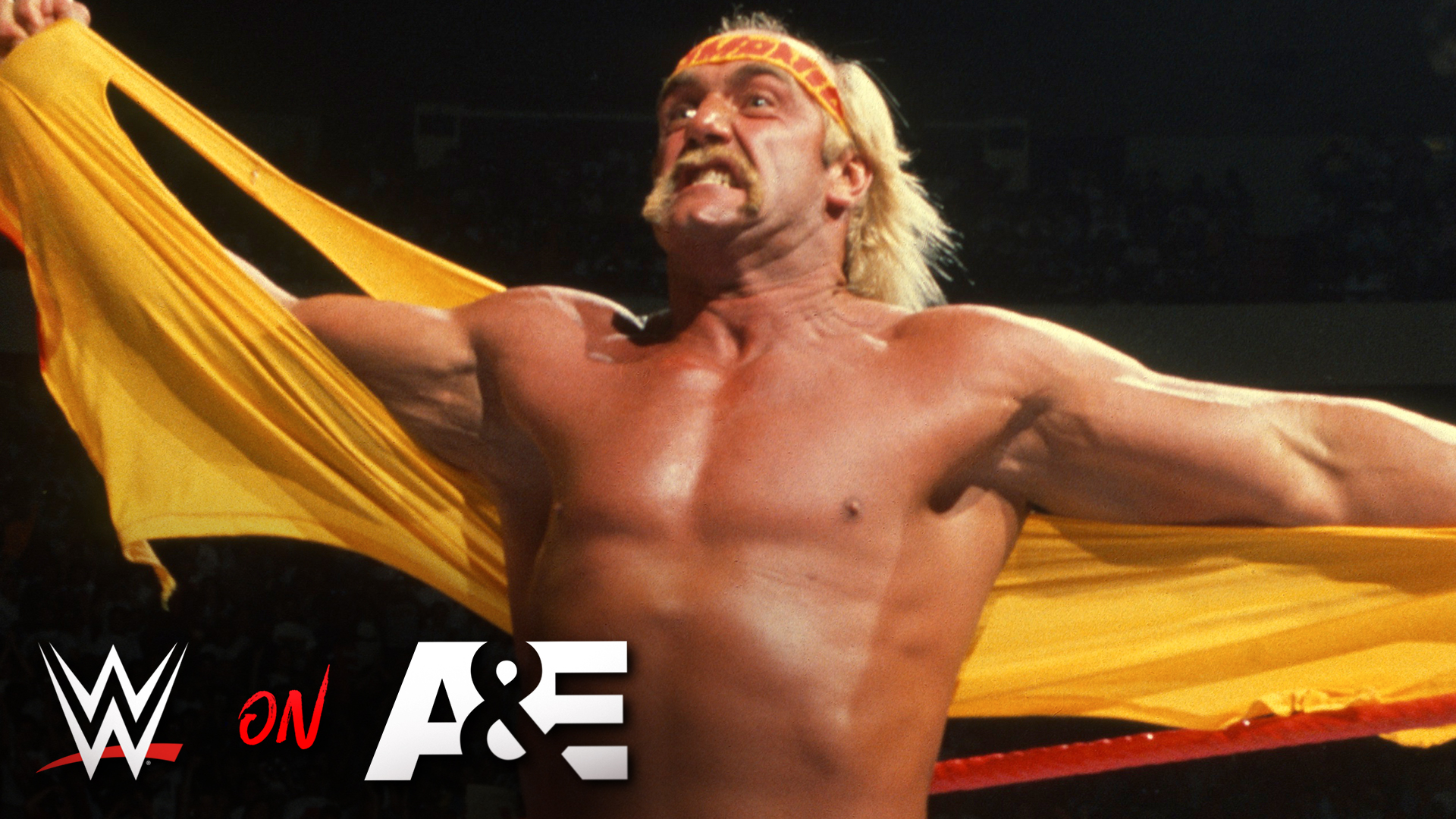 Young Rock gets a souvenir from Hulk Hogan: A&E WWE Rivals The Rock vs.  Hulk Hogan