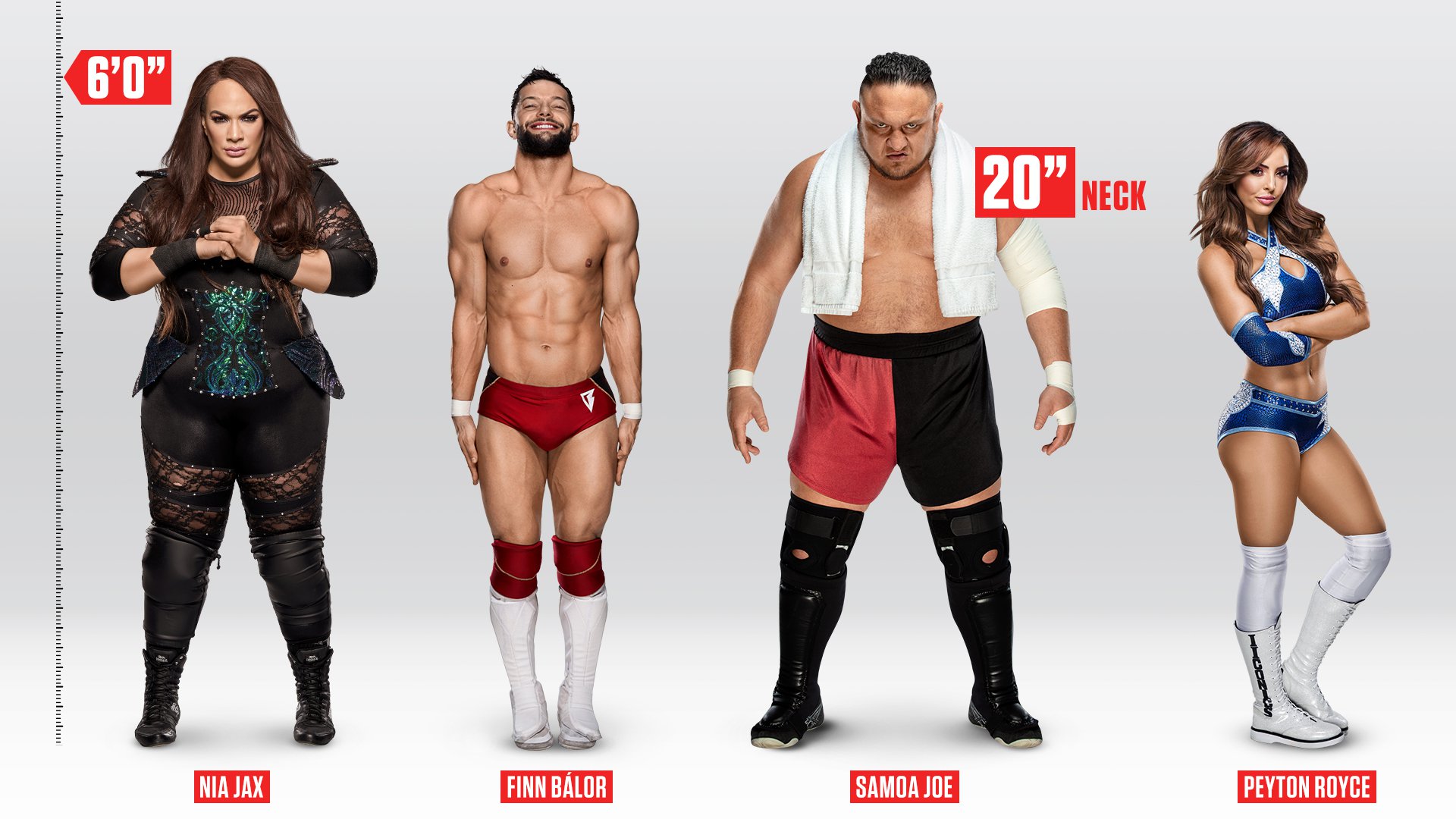 TIL Samoa Joe has a massive 20 inch neck. : r/SquaredCircle