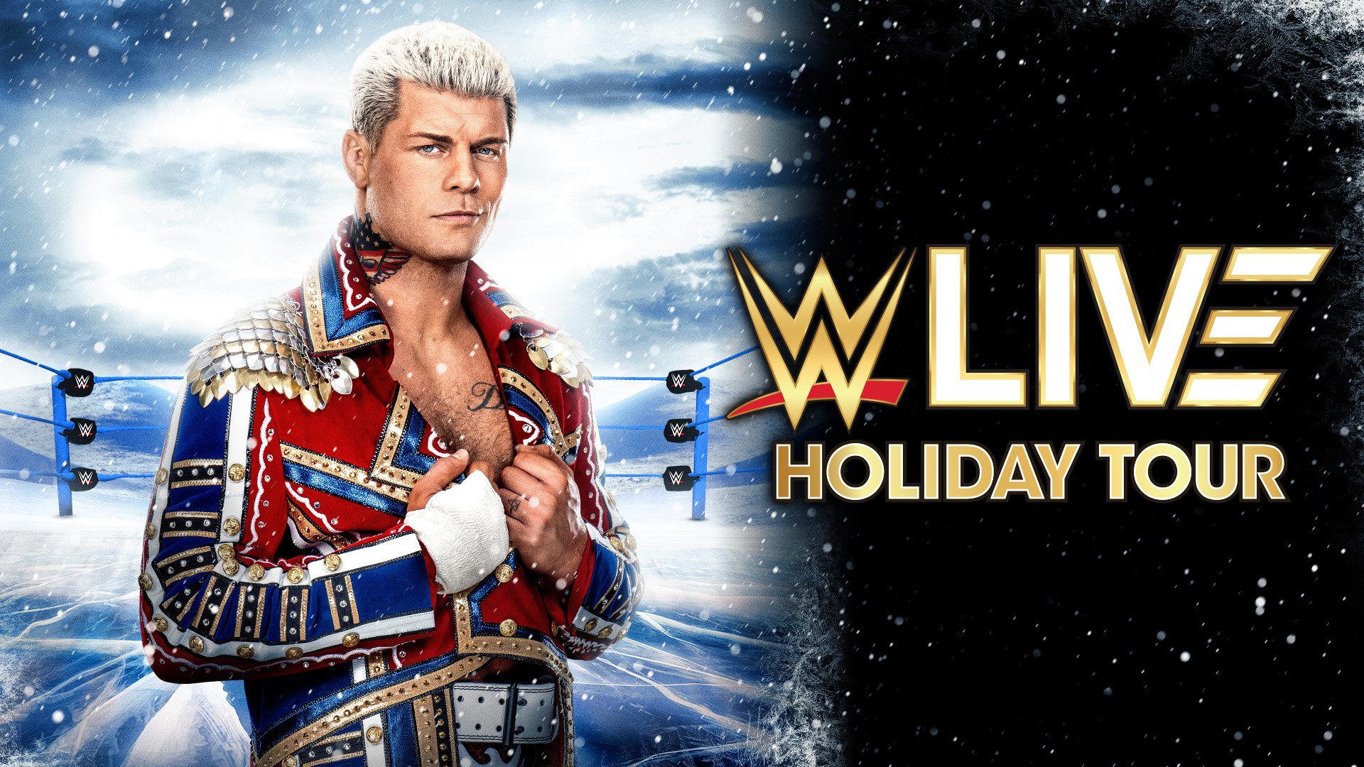 WWE Live Holiday Tour WWE