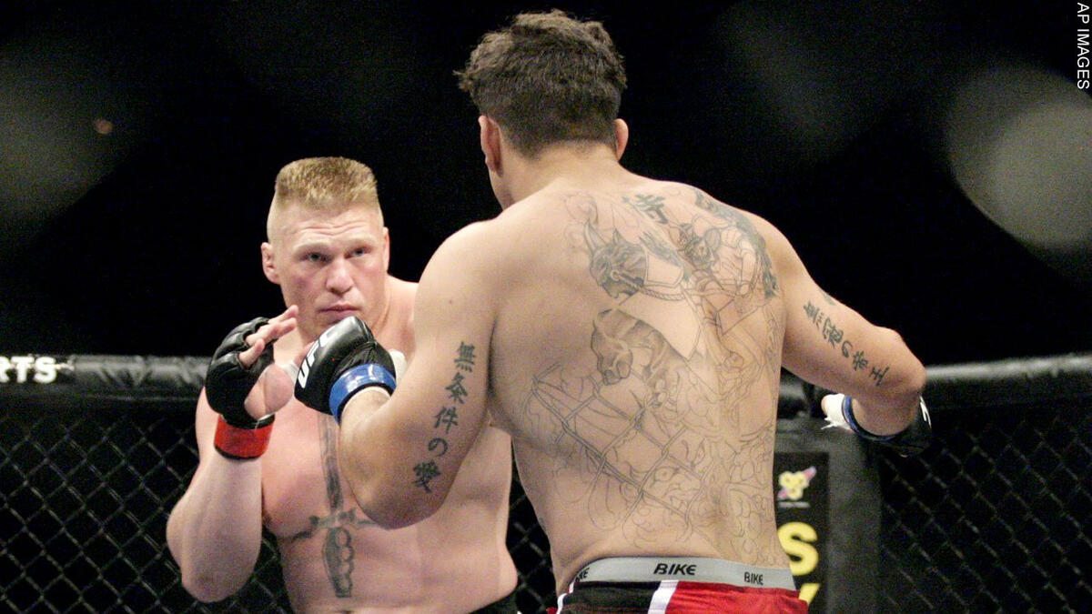 brock lesnar ufc knockout