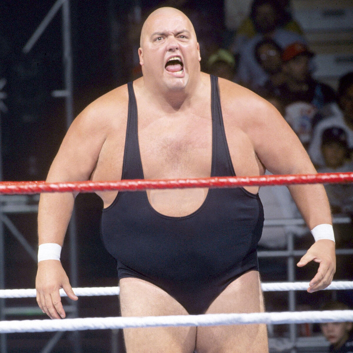 Most Intimidating Bald Superstars Photos Wwe