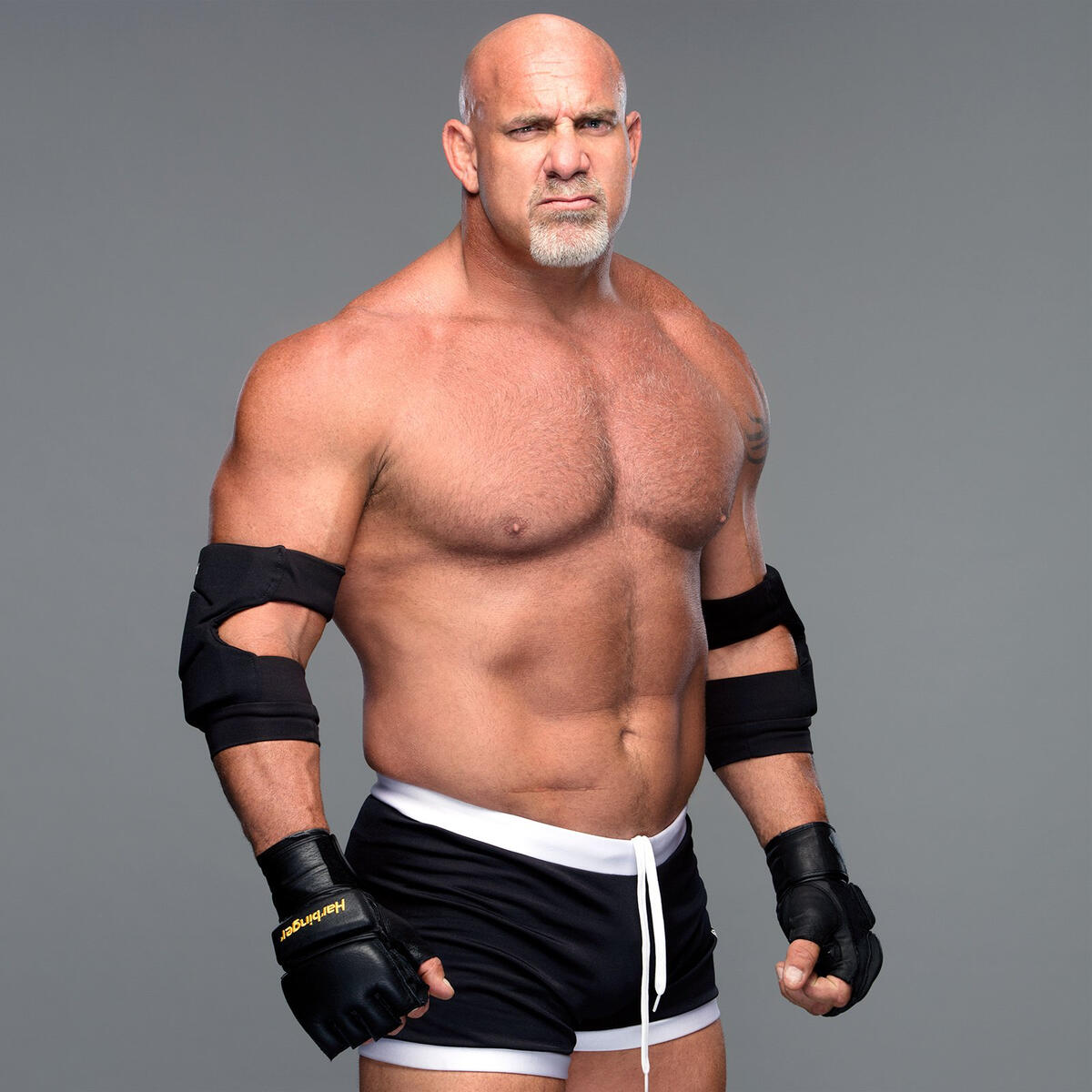 wwe wrestlers goldberg