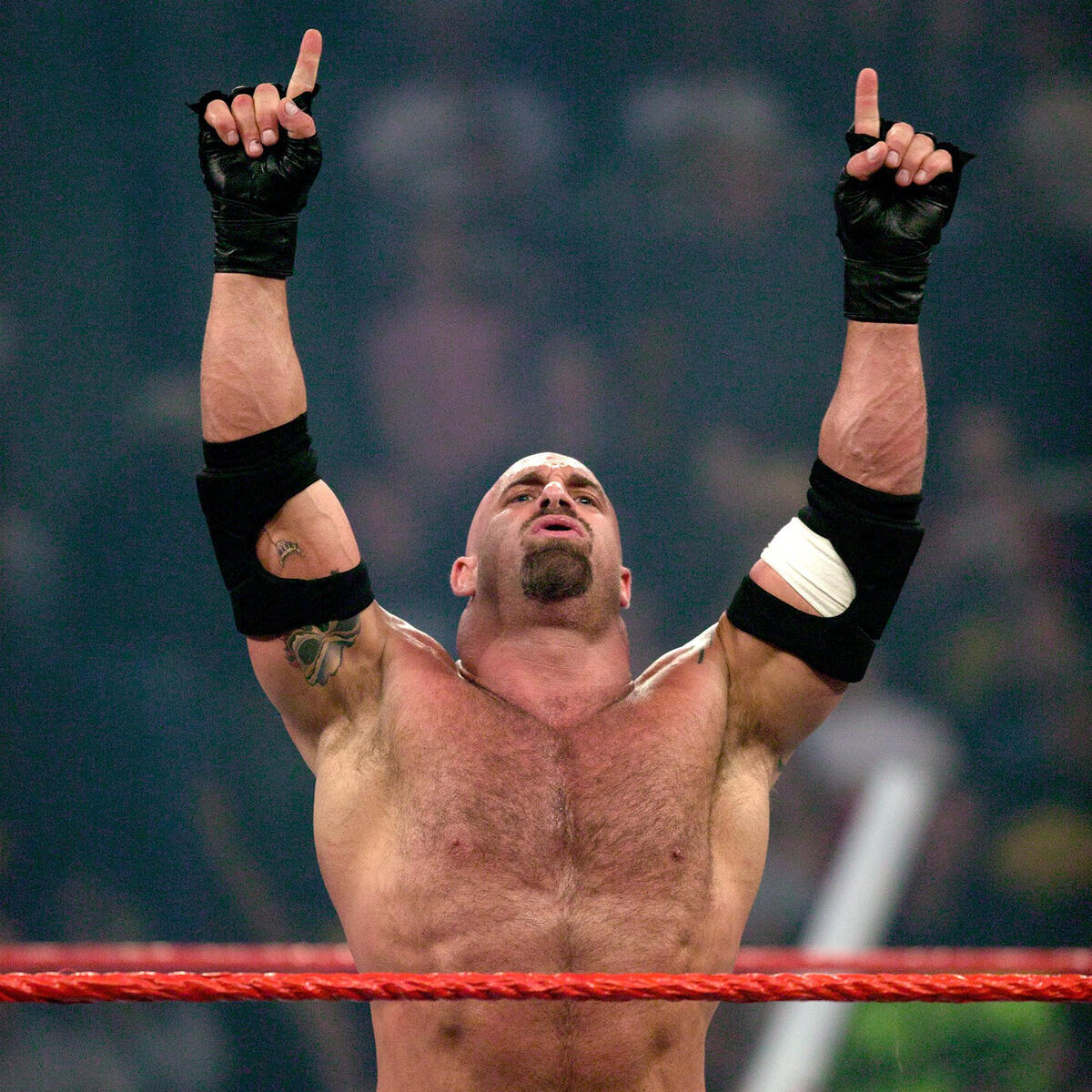 Awesome photos of Goldberg  WWE