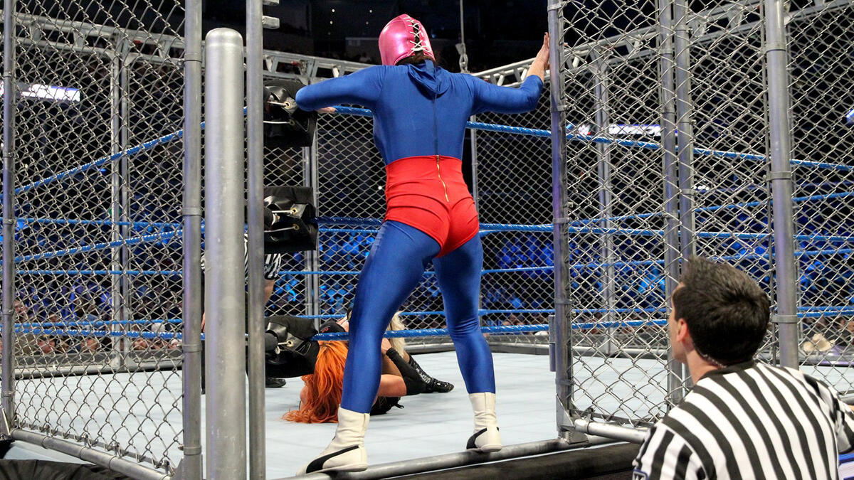 Becky Lynch vs Alexa Bliss  Steel Cage Match by SkyHighRollins on  DeviantArt