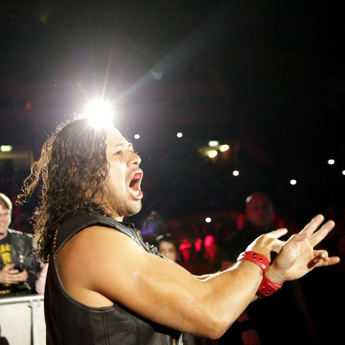 Photos: WWE Live in Stockholm, Sweden | WWE