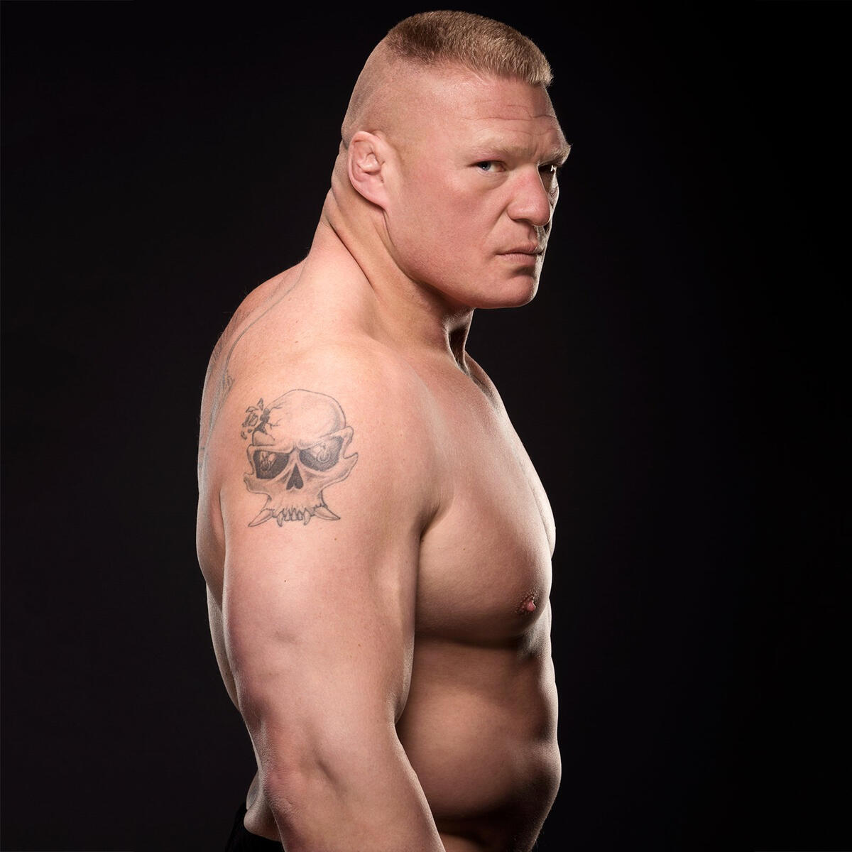 Brock Lesnar tattoos What do the WWE legends sword on chest pointing to  neck and demon on back ink REALLY mean  The Sun  The Sun