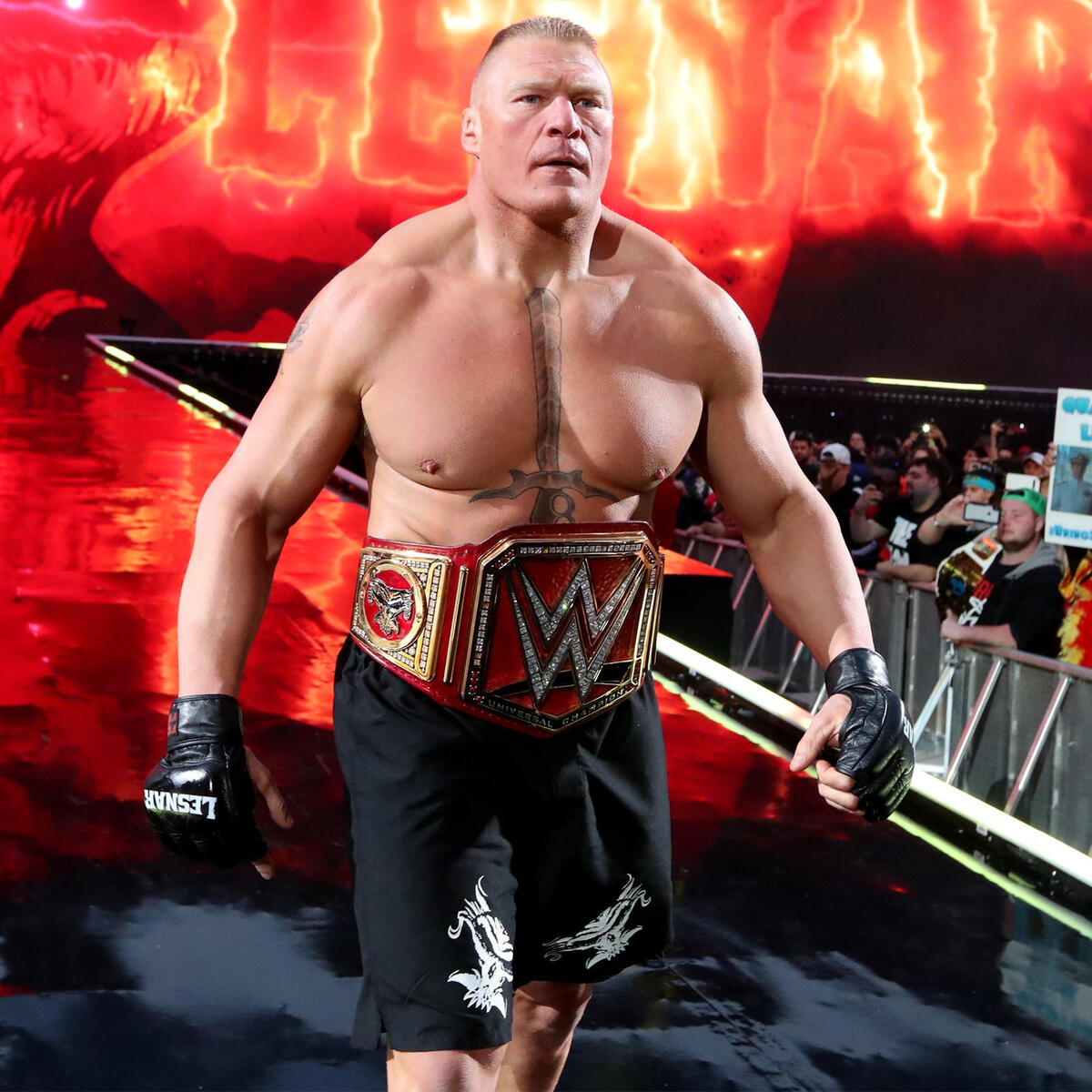 Brock Lesnar Vs Seth Rollins Universal Championship Match - 