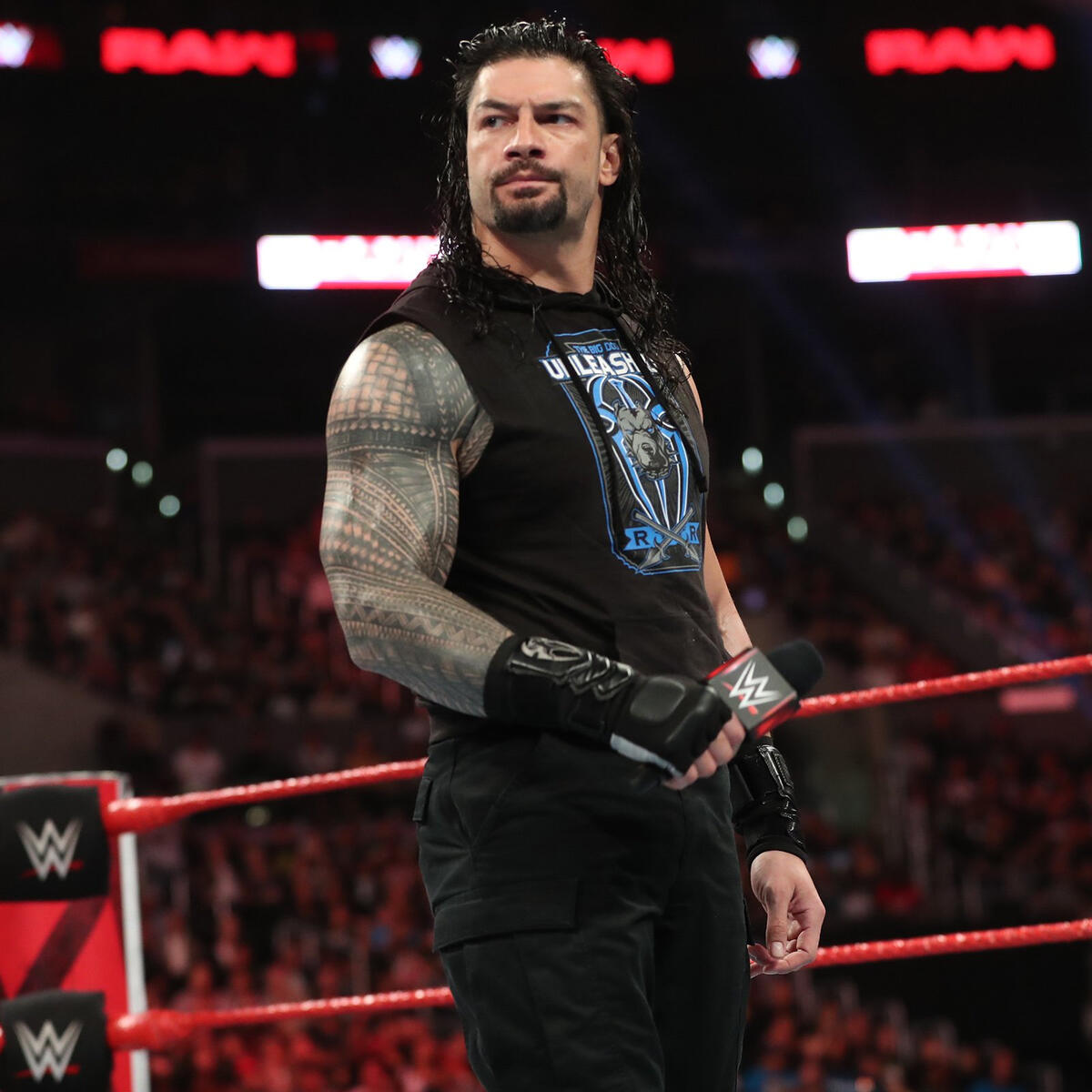 Roman Reigns storms into Shane McMahon's VIP room: photos | WWE