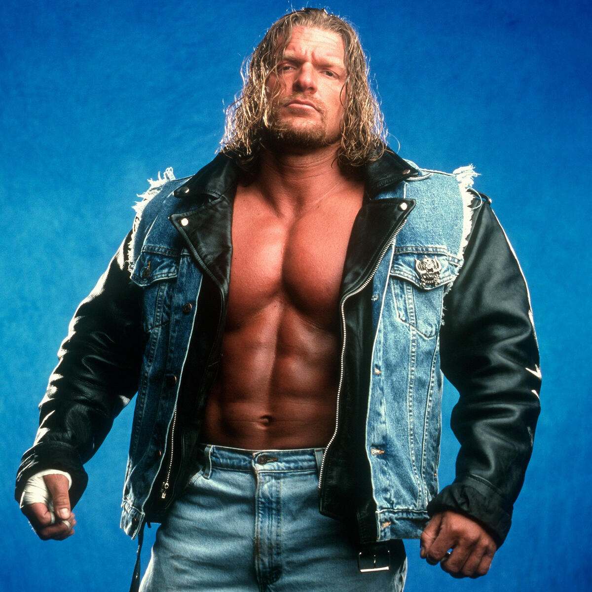 wwe wrestler triple h