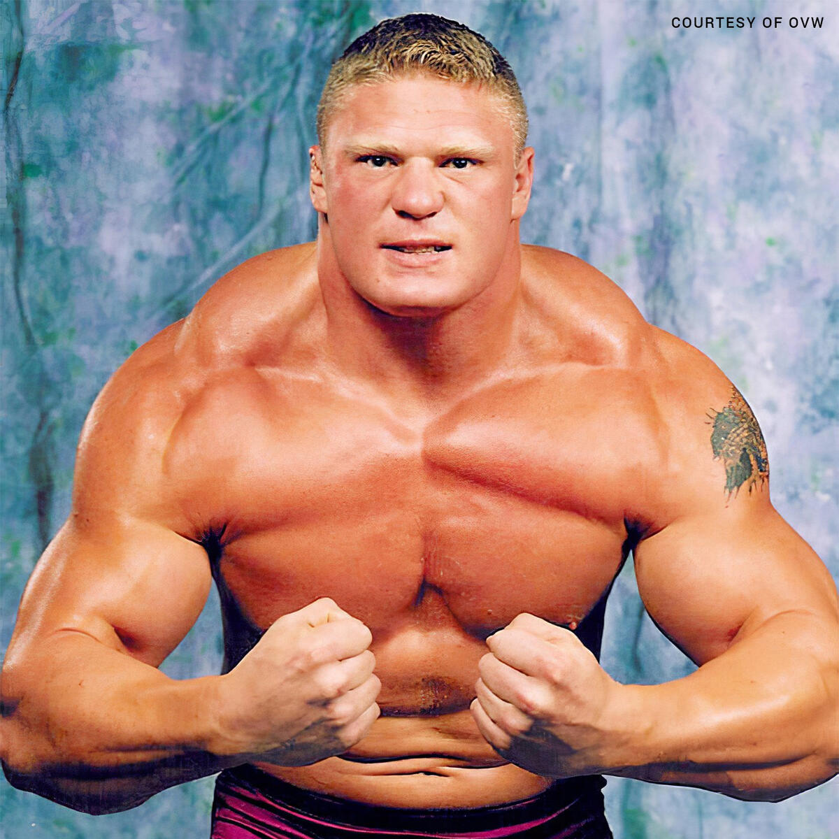 ovw brock lesnar