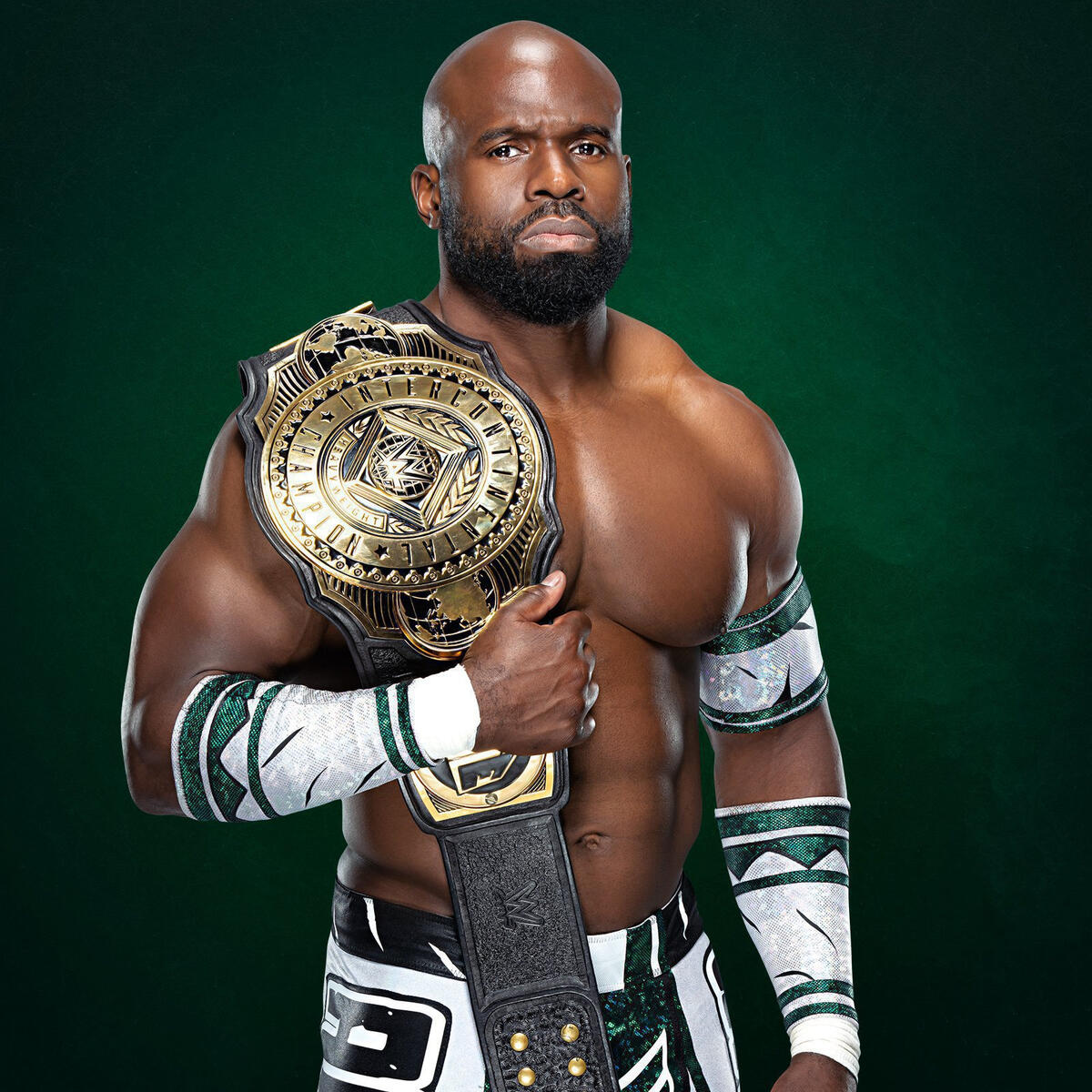 Hall Of Intercontinental Champions Photos Wwe