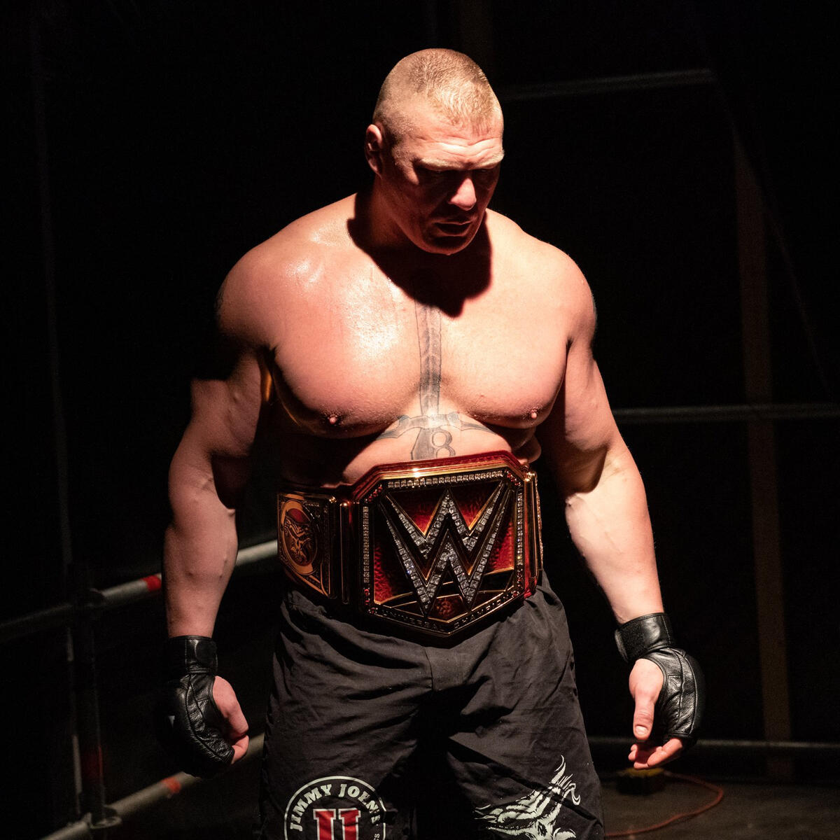 wwe wallpapers 2022 brock lesnar