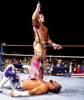 ultimate warrior vs macho man