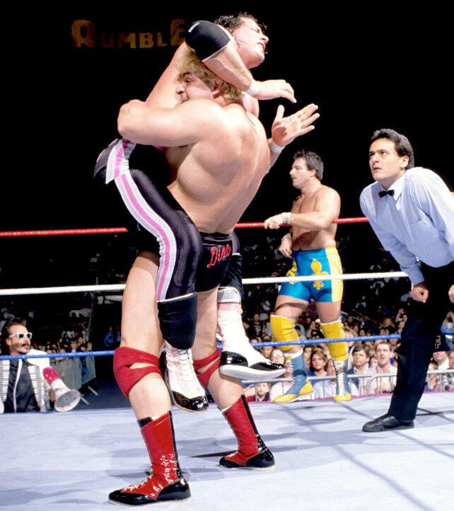 WWE SUMMERSLAM 1989
