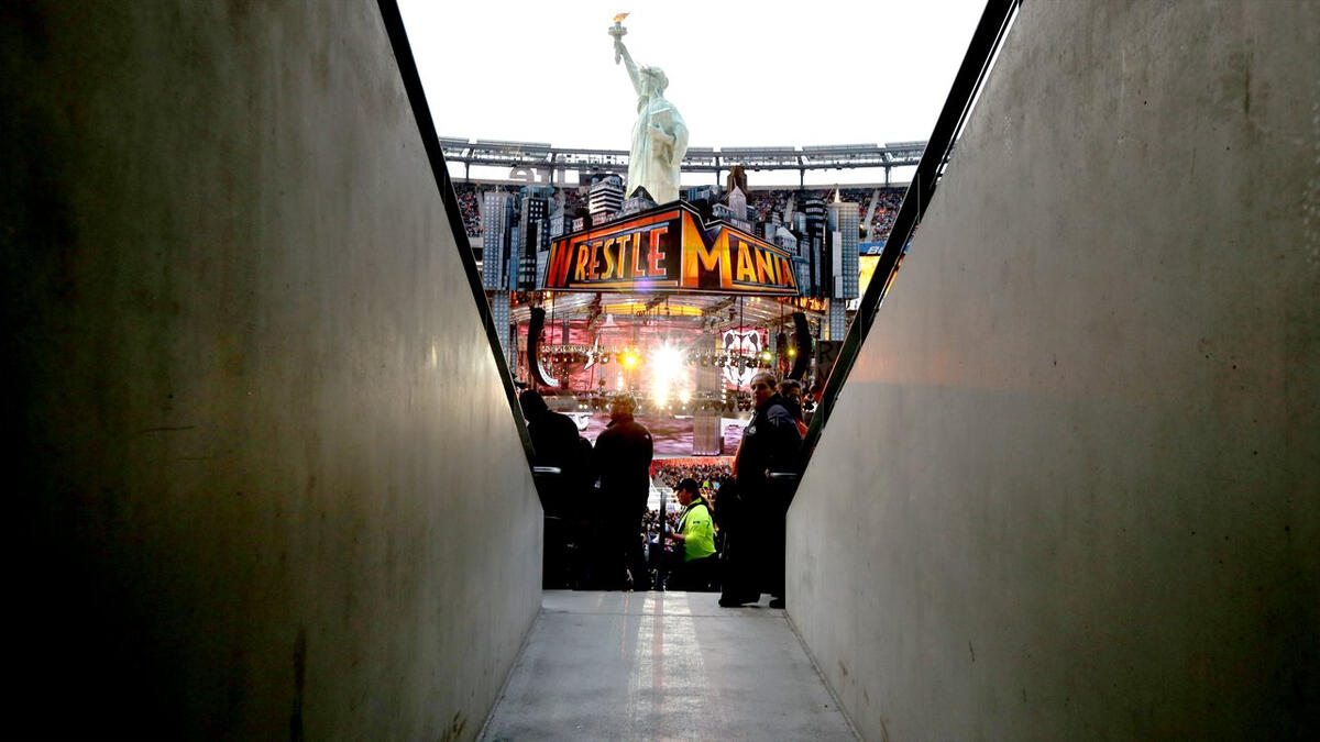 A whopping 80,676 WWE fans descended upon East Rutherford, N.J.'s MetLife Stadium for the entertainment spectacular that was WrestleMania 29.