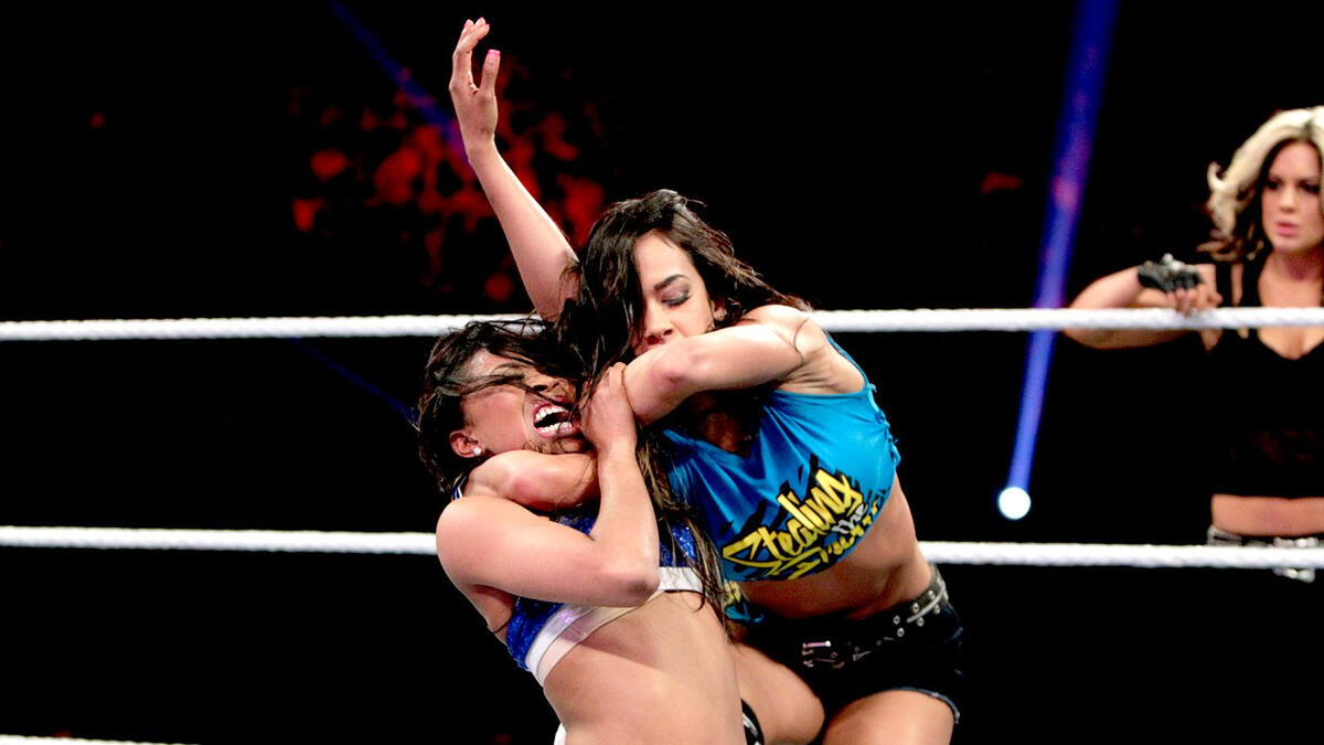 Kaitlyn And The Funkadactyls Vs Aj Lee And The Bella Twins Photos Wwe 5892
