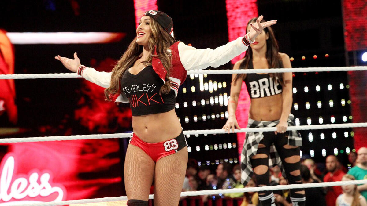 AJ Lee and Nikki Bella WWE Divas 8x10 in Action Photo #49