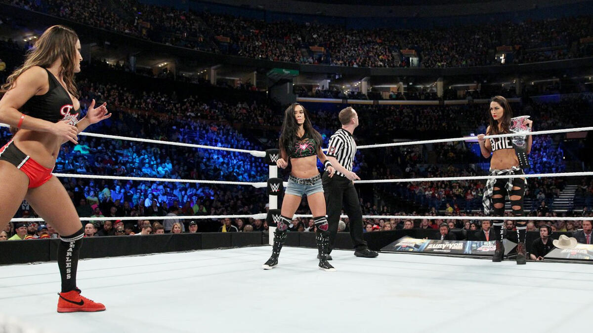 AJ Lee and Nikki Bella WWE Divas 8x10 in Action Photo #15