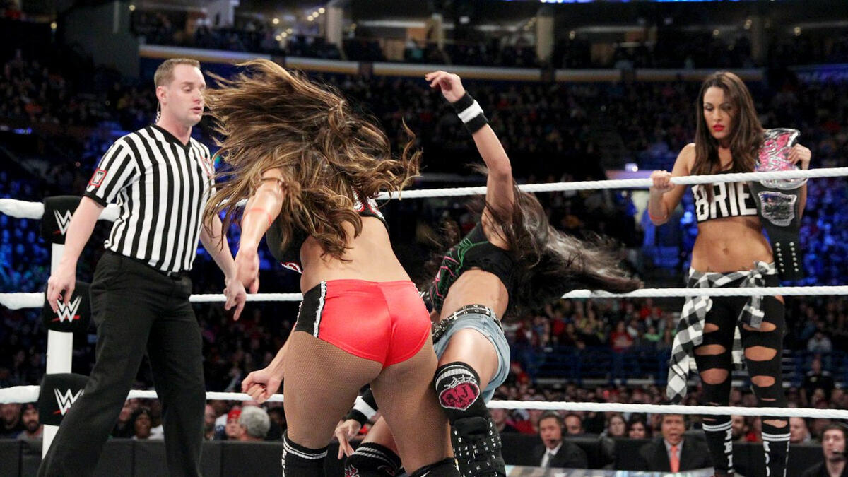 AJ Lee and Nikki Bella WWE Divas 8x10 in Action Photo #15