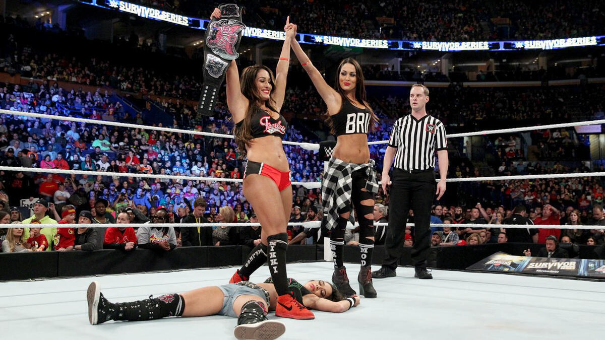 AJ Lee and Nikki Bella WWE Divas 8x10 in Action Photo #35