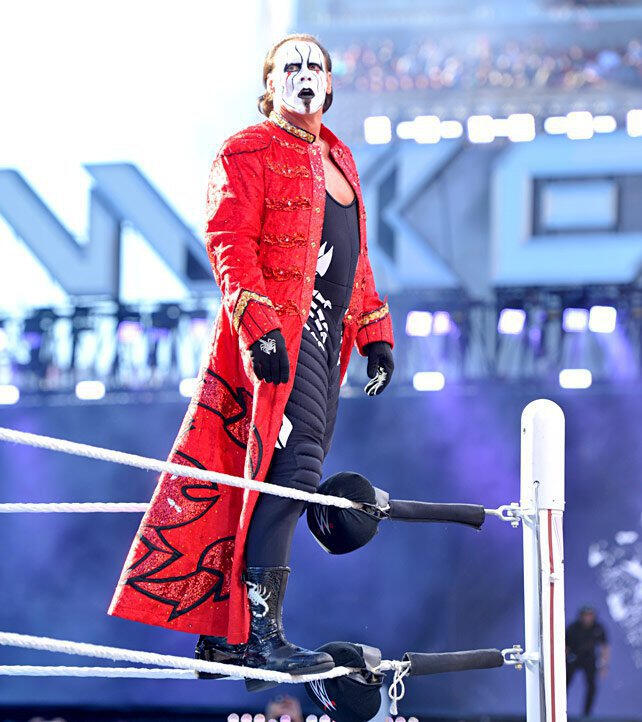 sting wrestler vs triple h