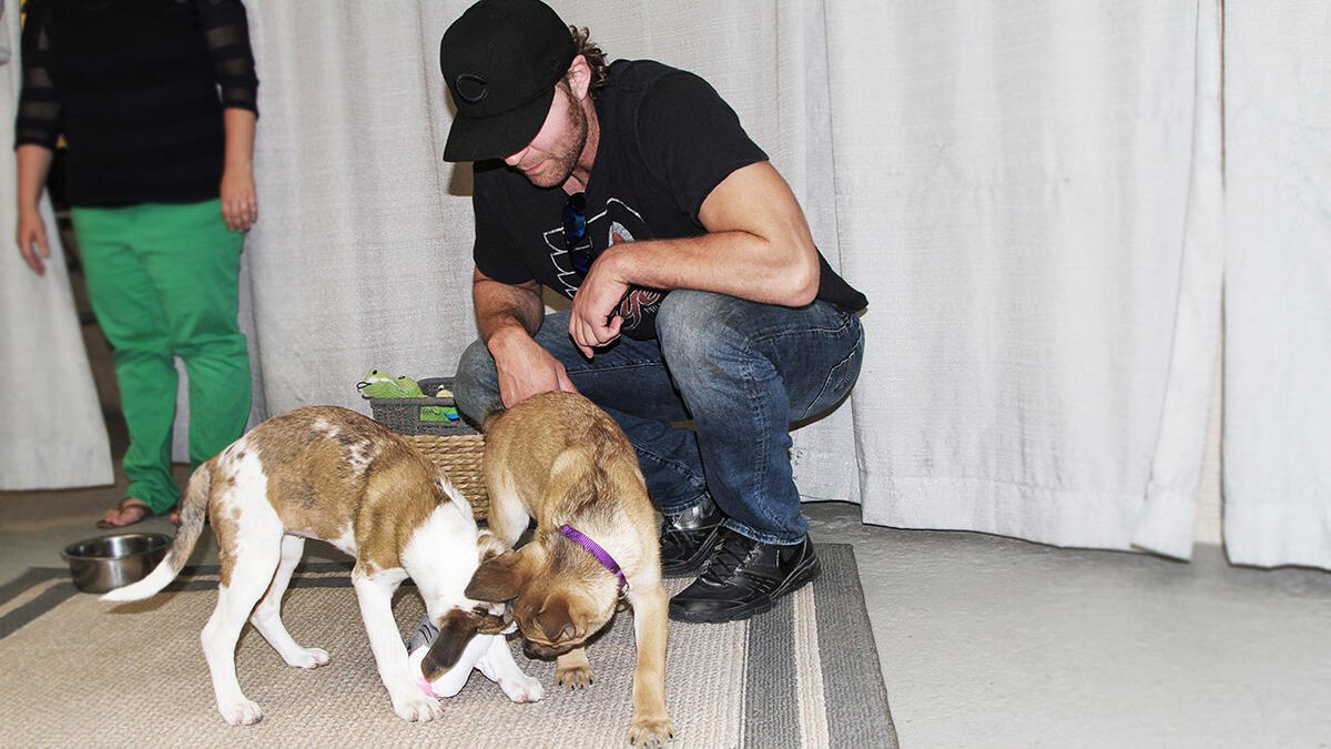 Superstars and Divas play with puppies: photos | WWE