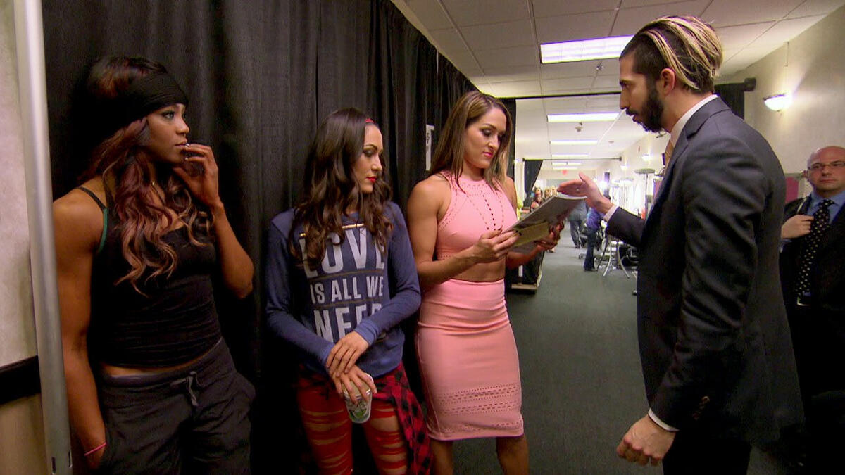 WWE Total Divas: Season 4 Episode 7 Nikki's Bag