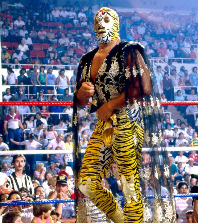 10 ideias de A lucha libre