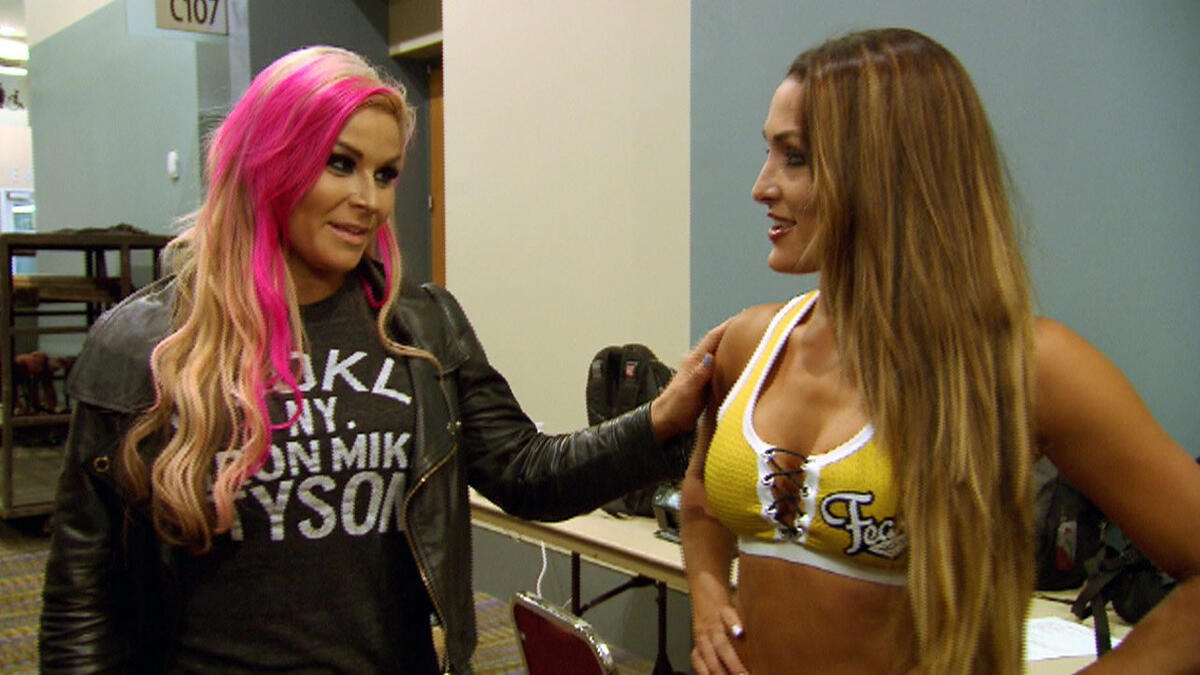 WWE Total Divas: Season 4 Episode 7 Nikki's Bag