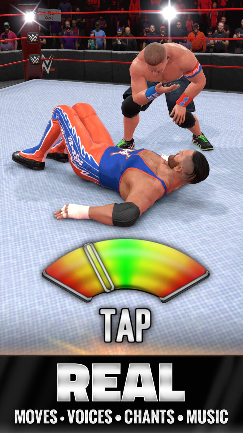 Tag Team Wrestling Game android iOS apk download for free-TapTap