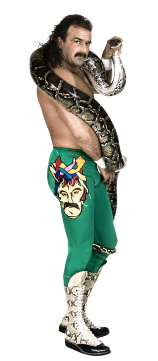 jake the snake roberts