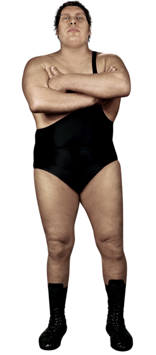 Andre The Giant Stat 