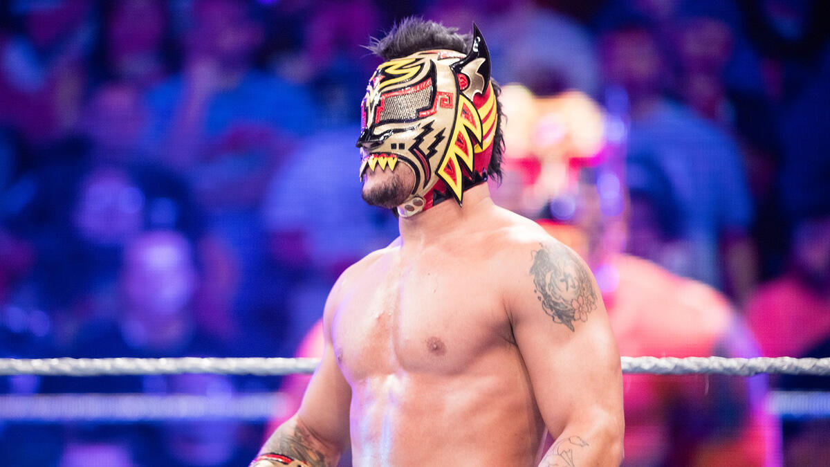 Lince Dorado | WWE