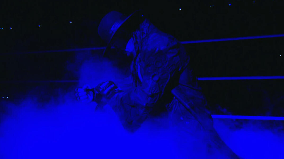 34+ Survivor Series 2020 Date Images