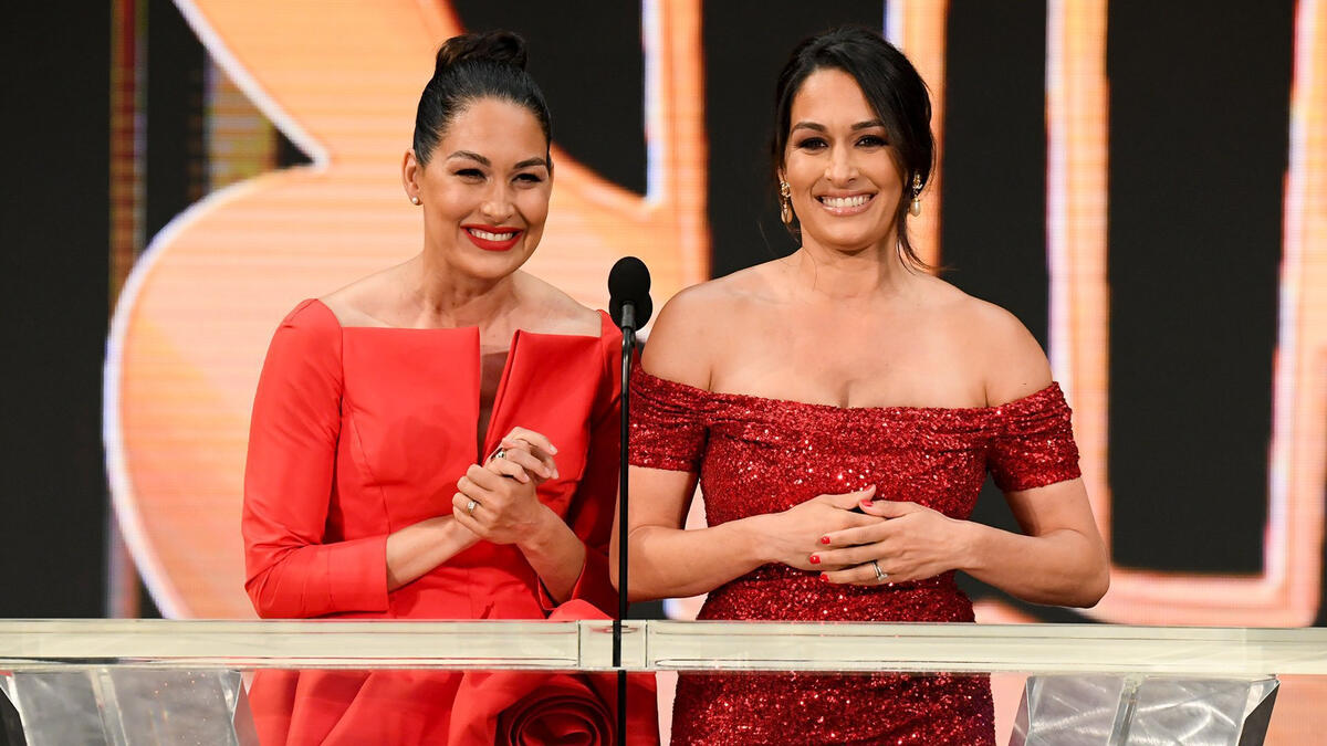 The Bella Twins: WWE Legend Hulk Hogan Could Not Differentiate Brie And Nikki 2